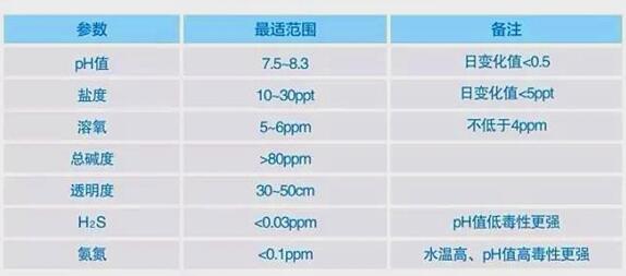 点此在新窗口浏览图片